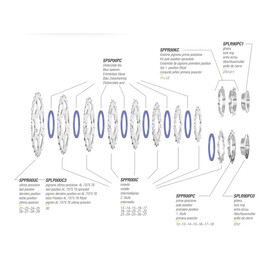 Pacco pignoni Miche PRIMATO 10V Campagnolo