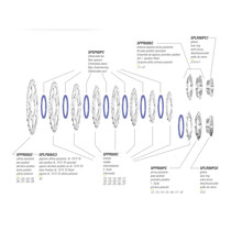 Pacco pignoni Miche PRIMATO 10V Campagnolo