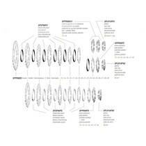 Pacco pignoni Miche PRIMATO 9V Shimano