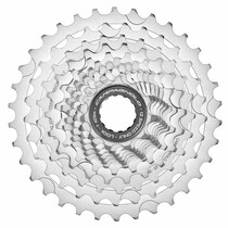 Pacco pignoni Campagnolo Chorus 12V