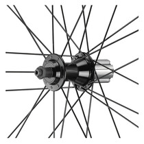 Coppia ruote Campagnolo Calima