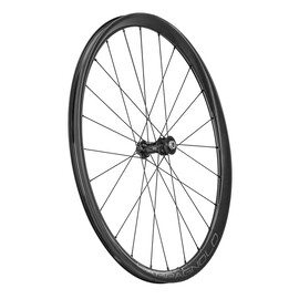 Coppia ruote Campagnolo Levante