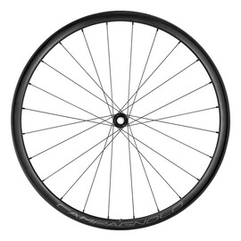 Coppia ruote Campagnolo Levante