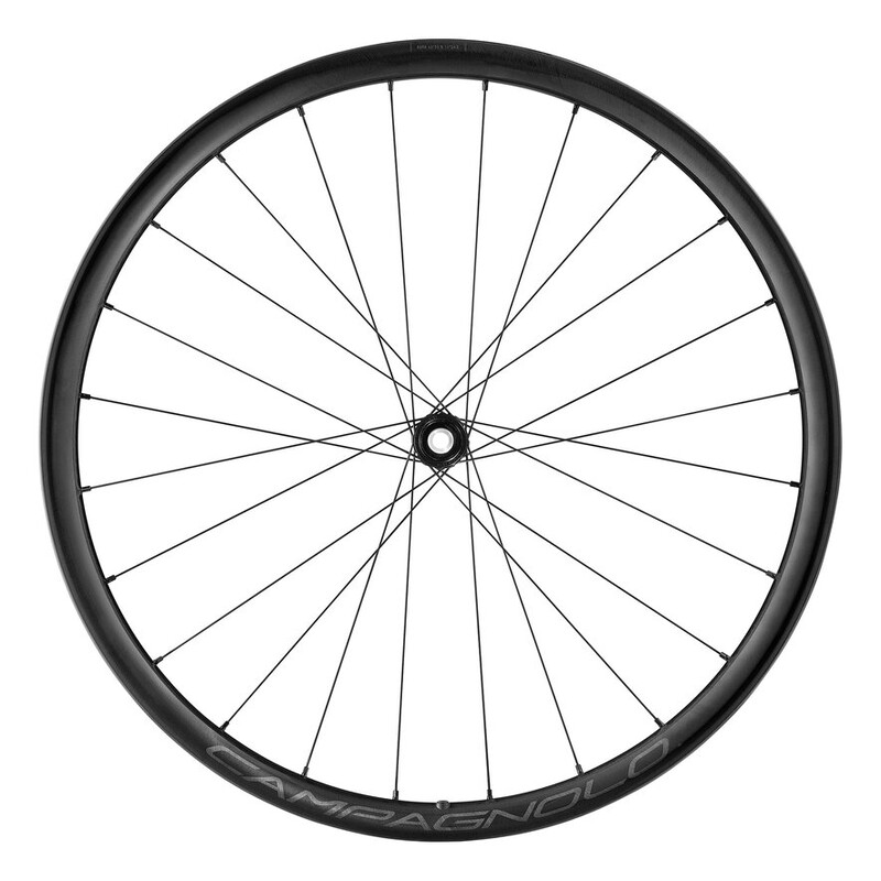 Coppia ruote Campagnolo Levante