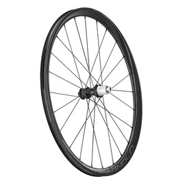 Coppia ruote Campagnolo Levante
