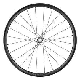 Coppia ruote Campagnolo Levante