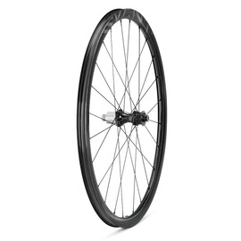 Coppia ruote Campagnolo Levante
