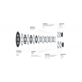 Pacco pignoni Miche Primato K12 Shimano 12V